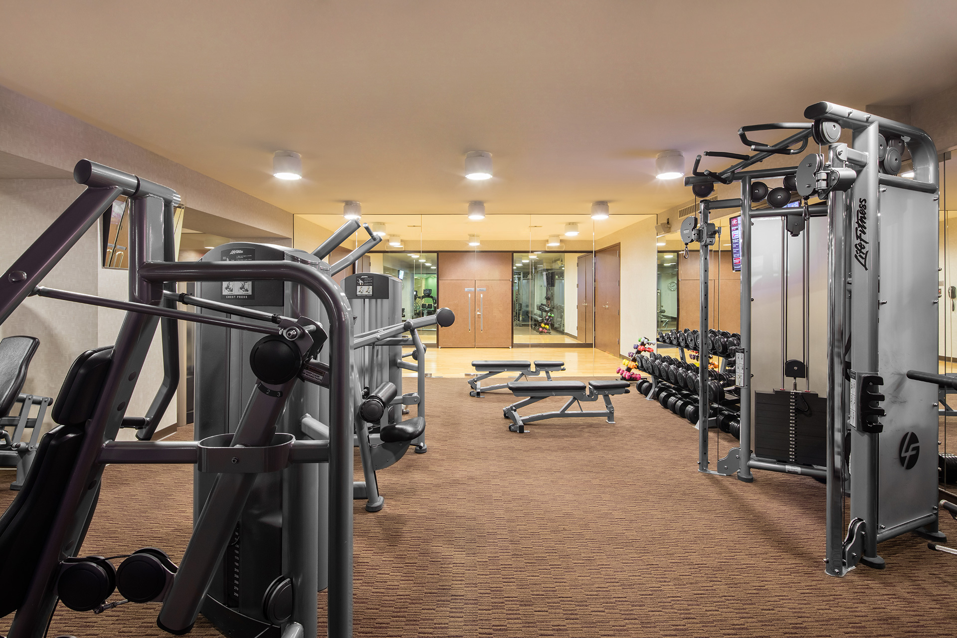 A Diverse Collection of Luxury Amenities